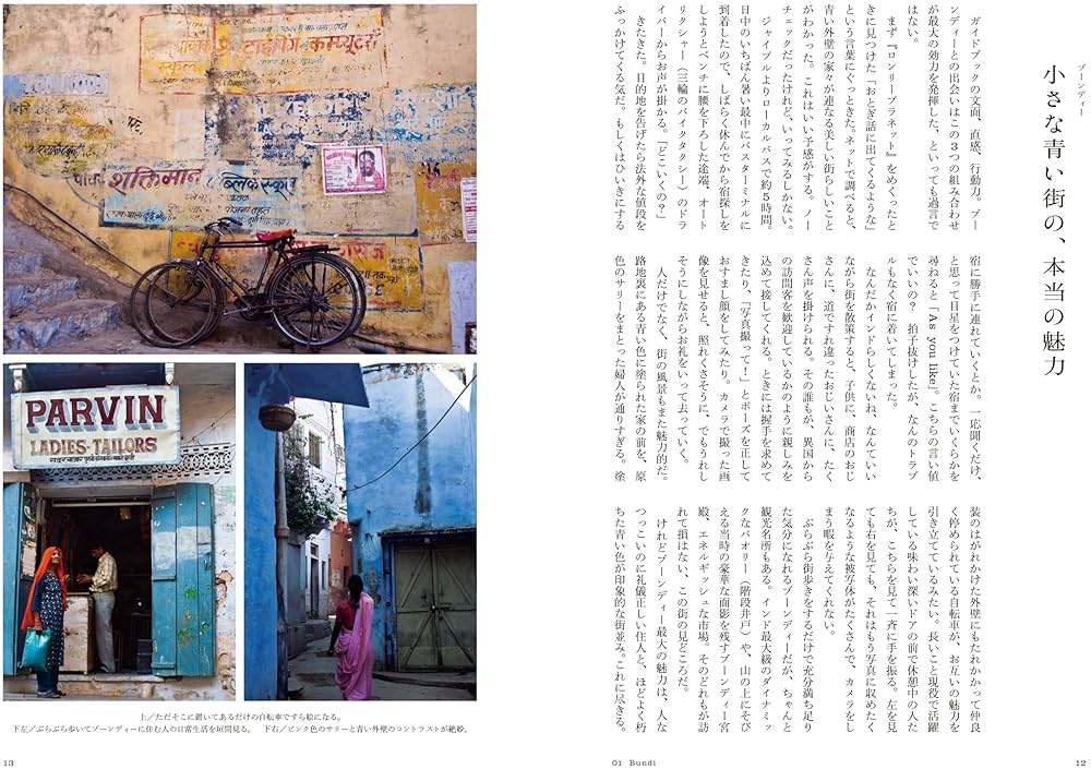 インドホリック インド一周142日間 (P-Vine Books) Amazon.co.jp: インドホリック インド一周142日間 (P-Vine Books